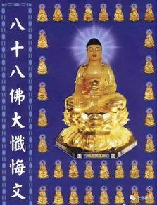 拜八十八佛视频,净化心灵，祈福安康之旅
