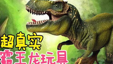 霸王龙安装视频