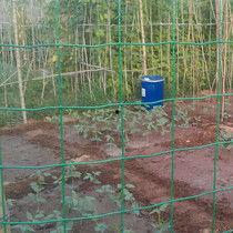 山地养鸡视频,绿色养殖新篇章