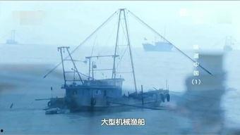 出海打鱼的真实视频,渔民出海打鱼的惊险瞬间