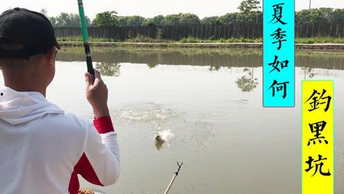 钓黑坑视频,跟随视频学钓鱼