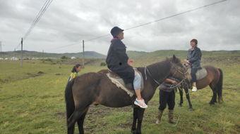 骑马训马视频,骑马视频揭秘马术训练秘诀