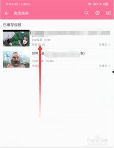 怎样下载b站视频,B站视频下载全攻略