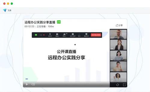 飞书视频会议怎么看回放,轻松回顾精彩瞬间