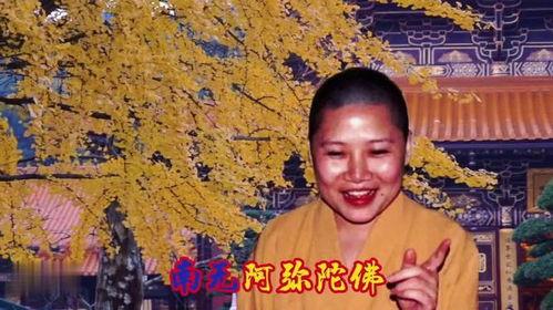 李娜阿弥陀佛歌曲视频