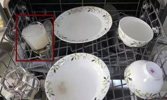 叠纸碗视频,创意无限，趣味横生的家庭互动时光