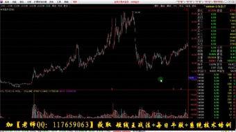 炒股入门视频,入门视频精华解析