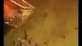 毛驴配牛视频,一场跨物种的浪漫邂逅