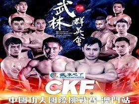 功夫者视频,揭秘武术传奇背后的故事