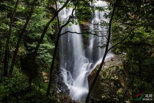 高山流水教学视频,探寻古典音乐之美